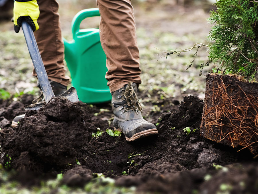 Safe Digging Starts Here